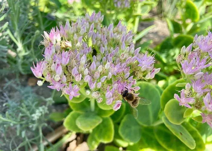 Apartament Hellobalaton